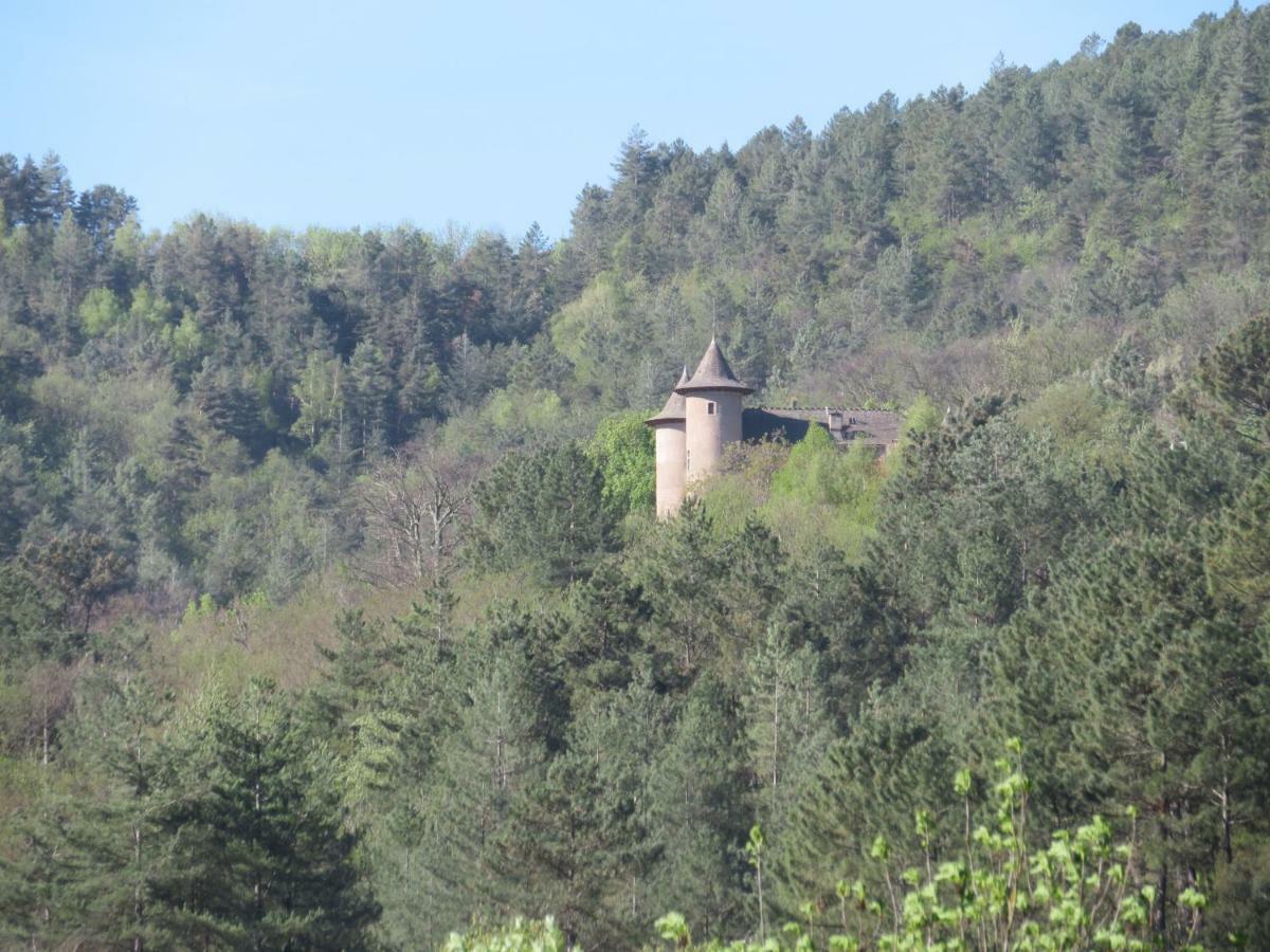 Chamborigaud Chez Veronique Bed & Breakfast エクステリア 写真