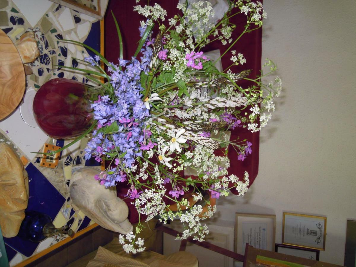 Chamborigaud Chez Veronique Bed & Breakfast エクステリア 写真